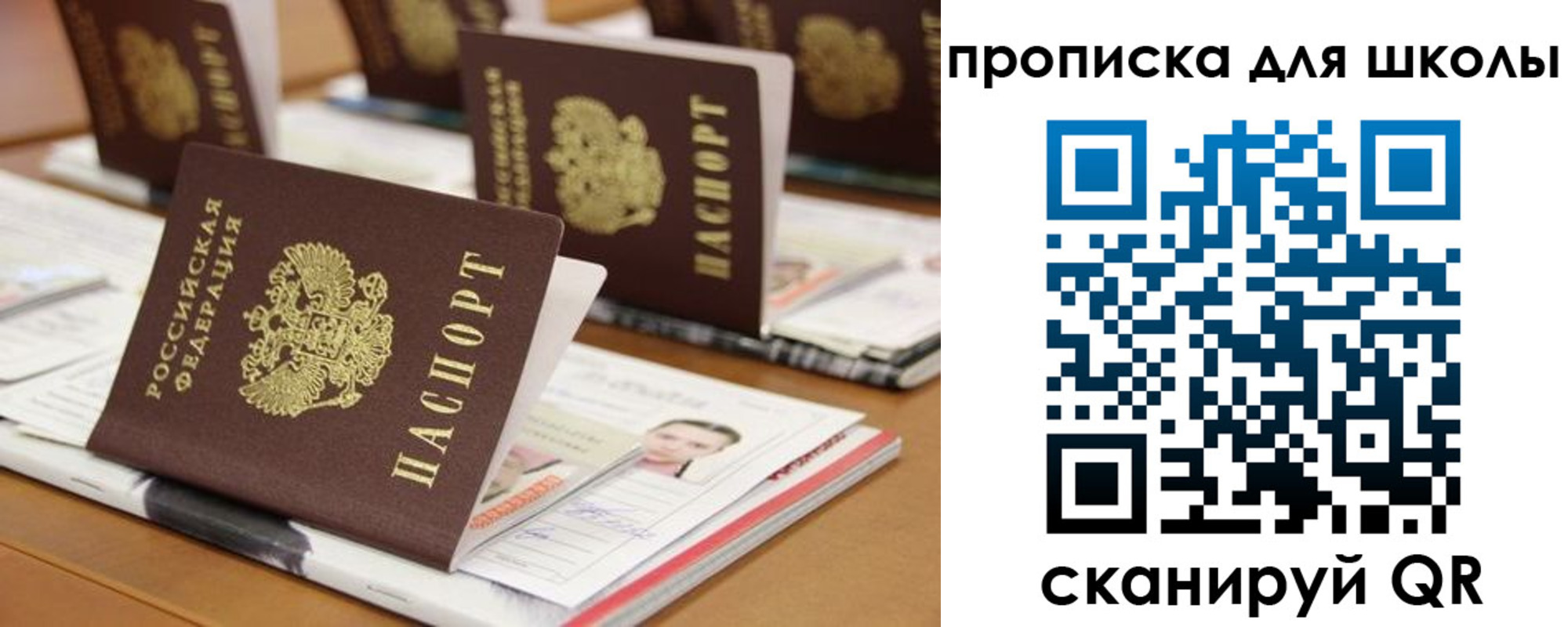 временная регистрация надежно в Дрезне